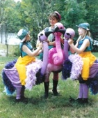 Flamingo Walk Around